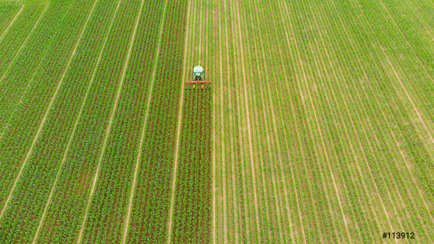 Formazione per gli agricoltori. Mis 111. Aperte le iscrizioni per il corso di abilitazione agli acquisti dei fitofarmaci. 14 BN