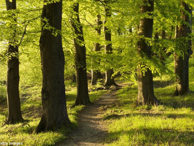 VIVI LA NATURA SENZA BARRIERE